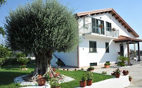 B&B Cascina Fiorita